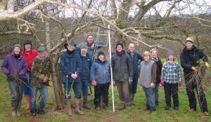 Reviving the Old Apple and Pear Varieties in the Southern Marches