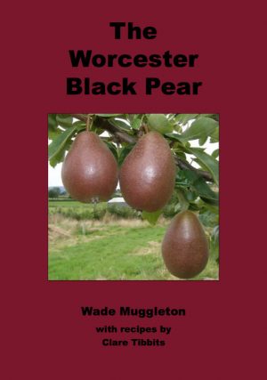 The Worcester Black Pear by Wade Muggleton