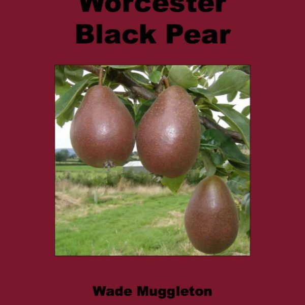 New Book The Worcester Black Pear by Wade Muggleton Marcher Apple